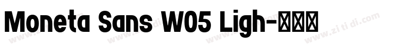 Moneta Sans W05 Ligh字体转换